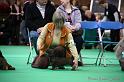 Crufts2011_2 1442